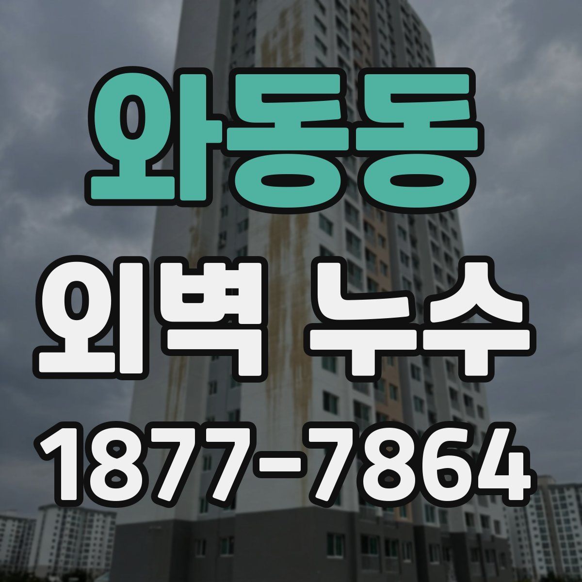 와동동 외벽 누수