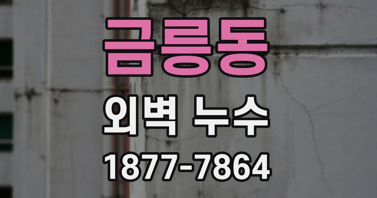 금릉동 외벽 누수