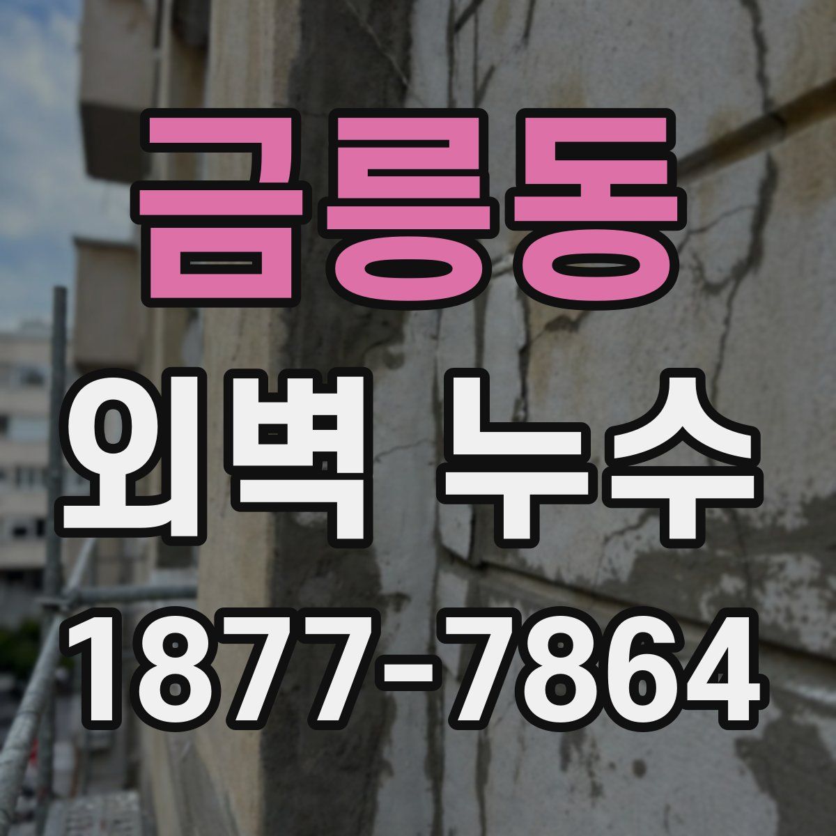 금릉동 외벽 누수
