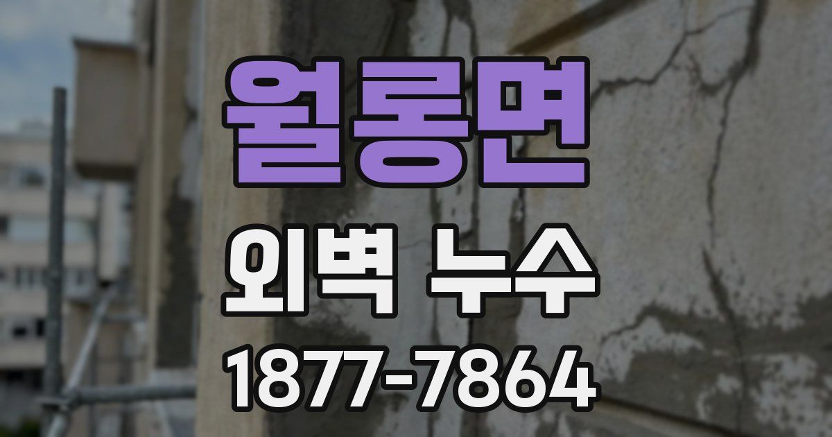 월롱면 외벽 누수