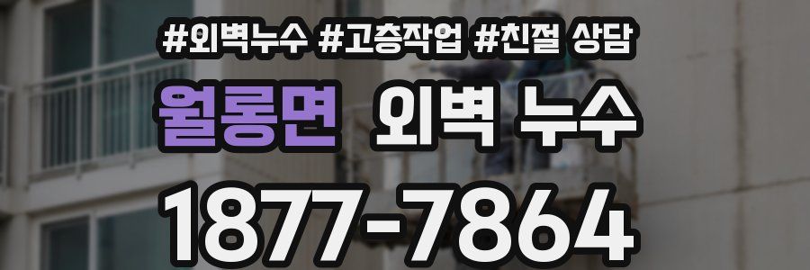 월롱면 외벽 누수