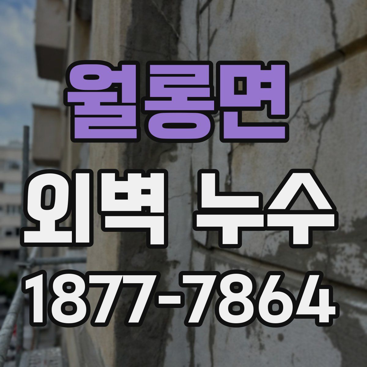 월롱면 외벽 누수