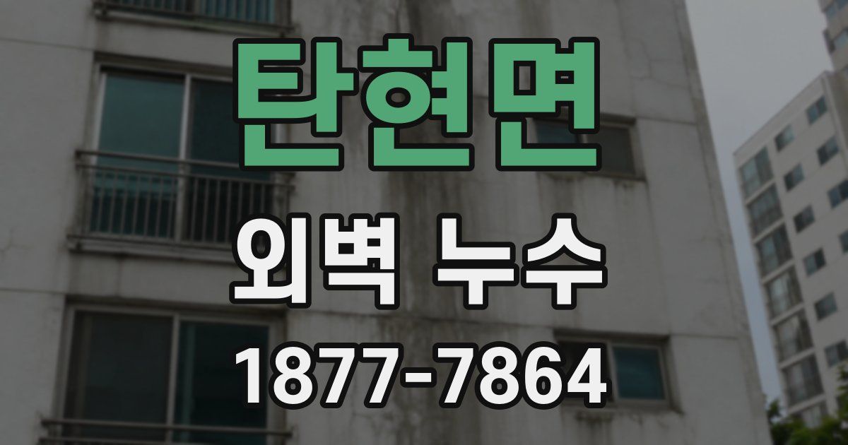 탄현면 외벽 누수
