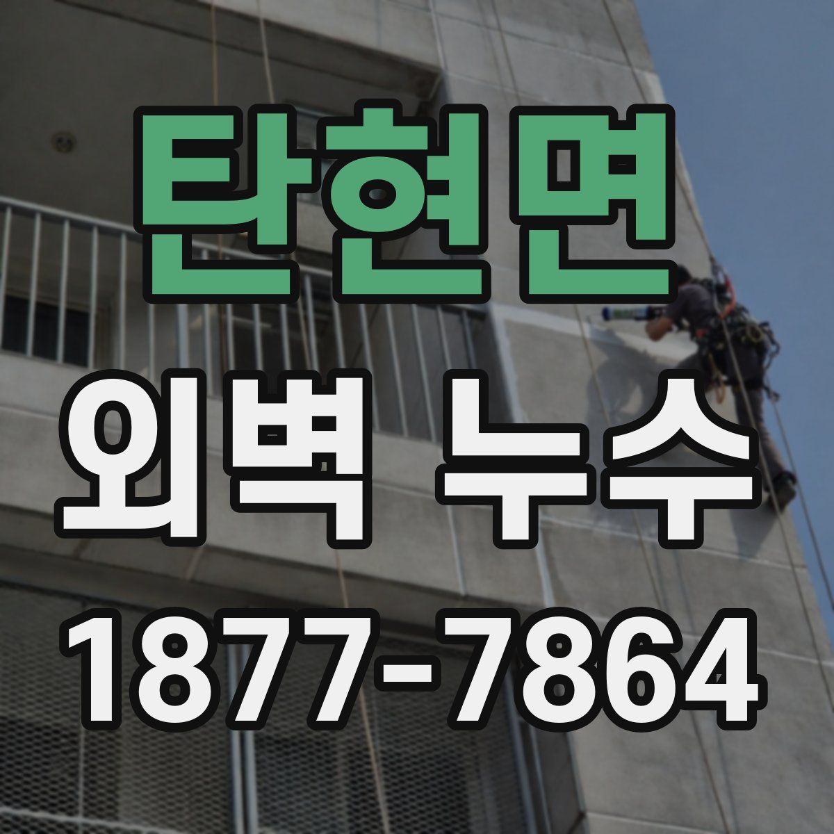 탄현면 외벽 누수