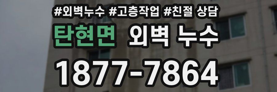 탄현면 외벽 누수