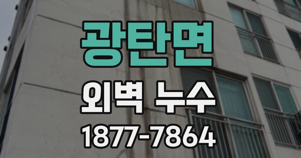 광탄면 외벽 누수