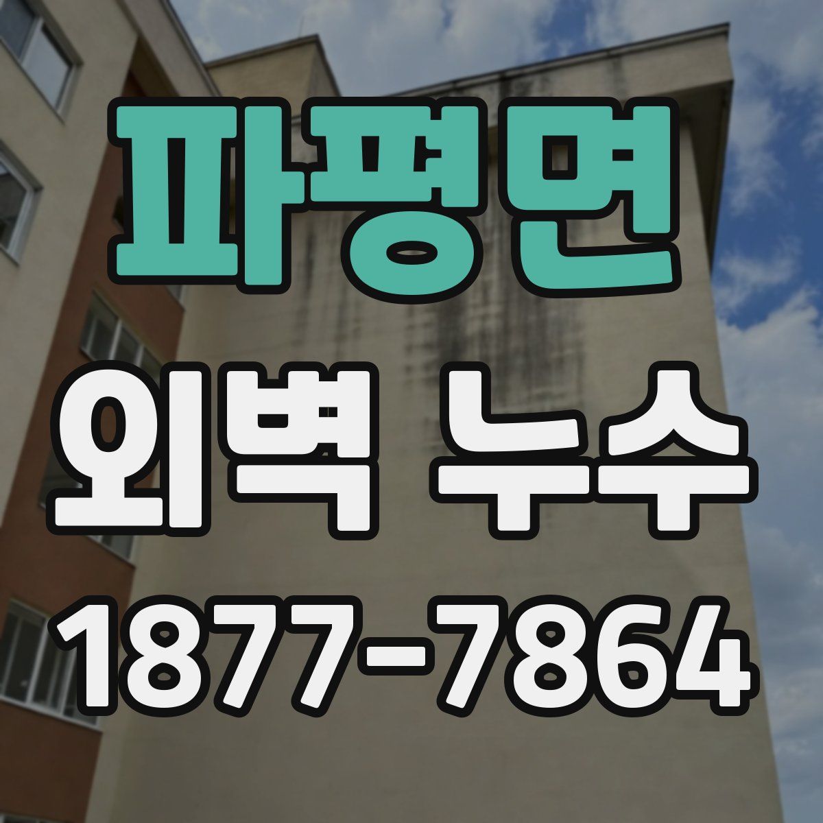 파평면 외벽 누수