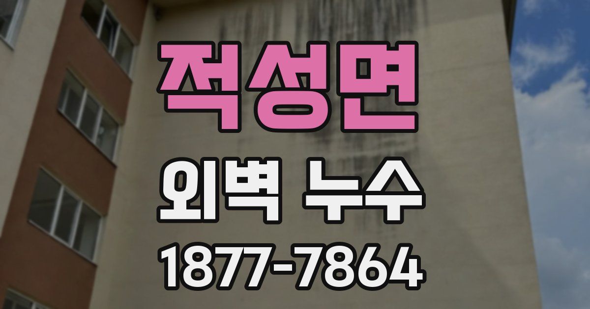 적성면 외벽 누수