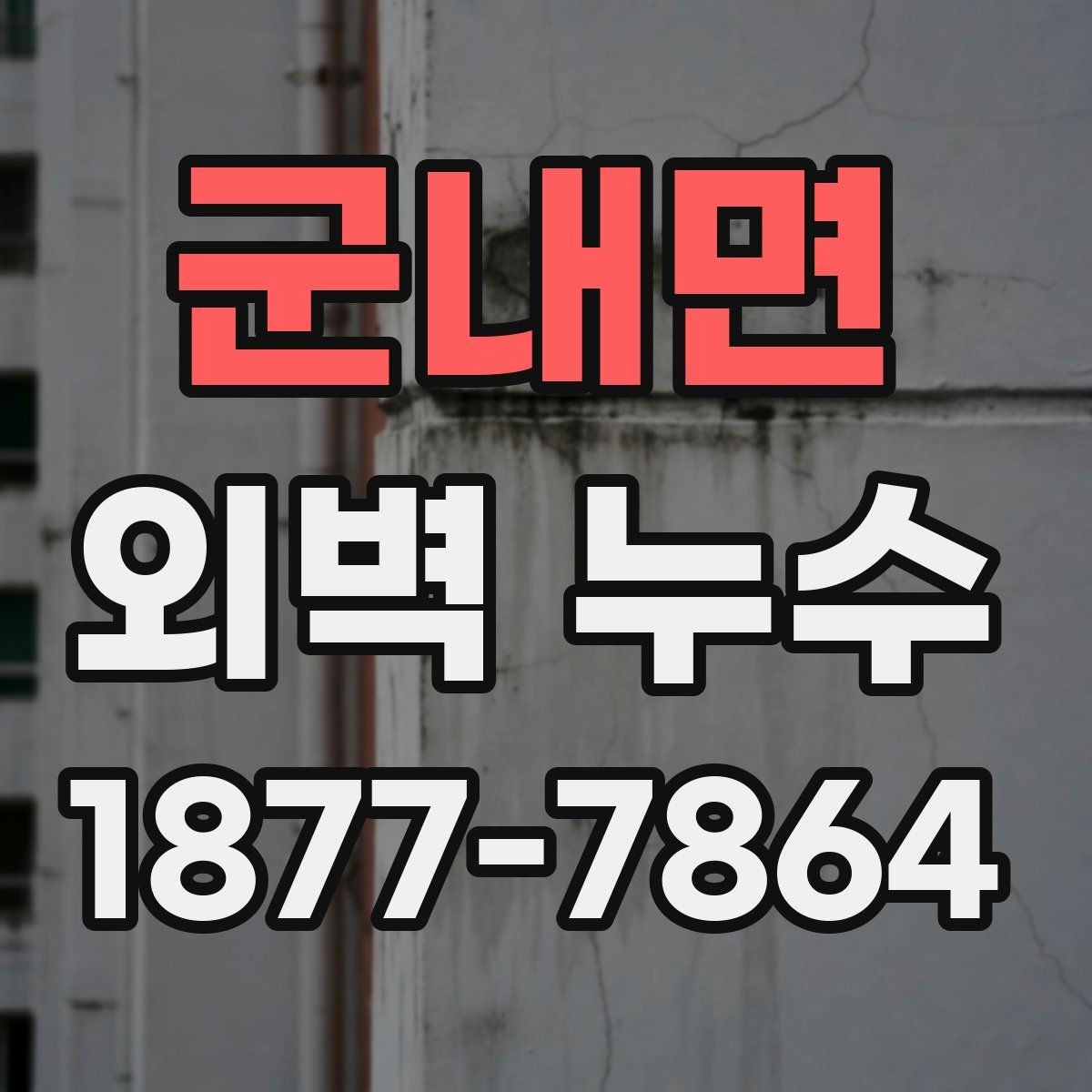군내면 외벽 누수 보수 범위를 정할 때 주의할 점