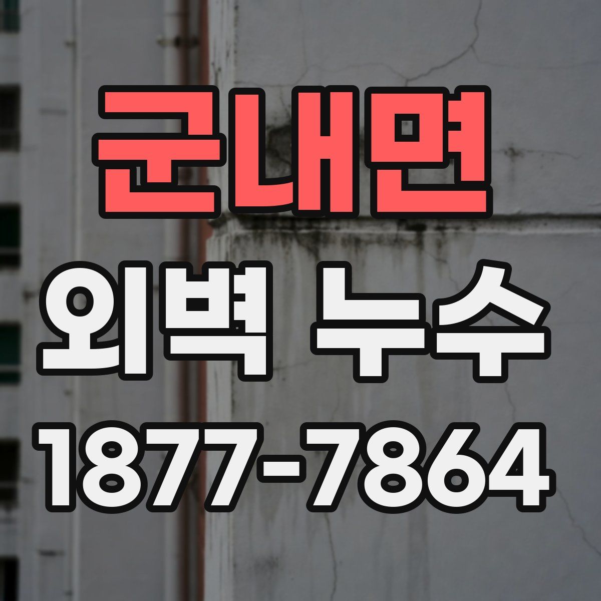 군내면 외벽 누수