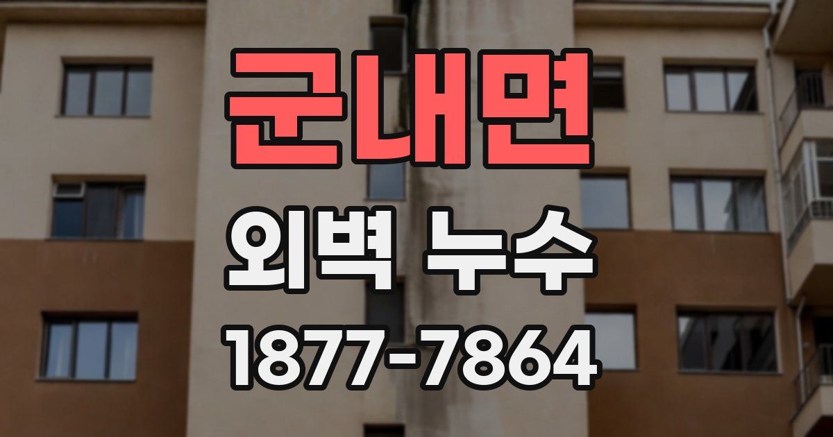 군내면 외벽 누수