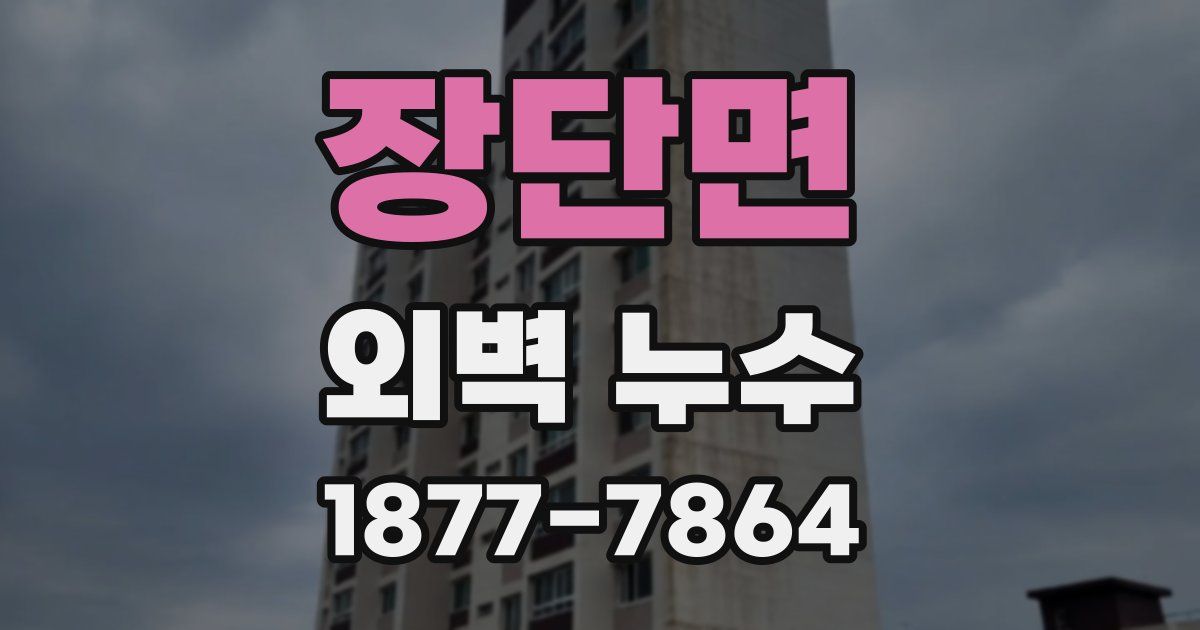 장단면 외벽 누수