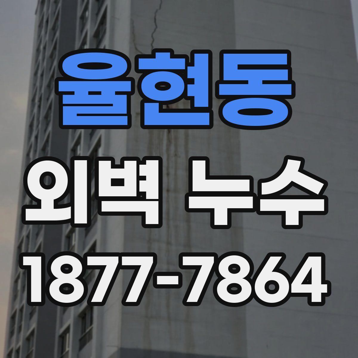 율현동 외벽 누수