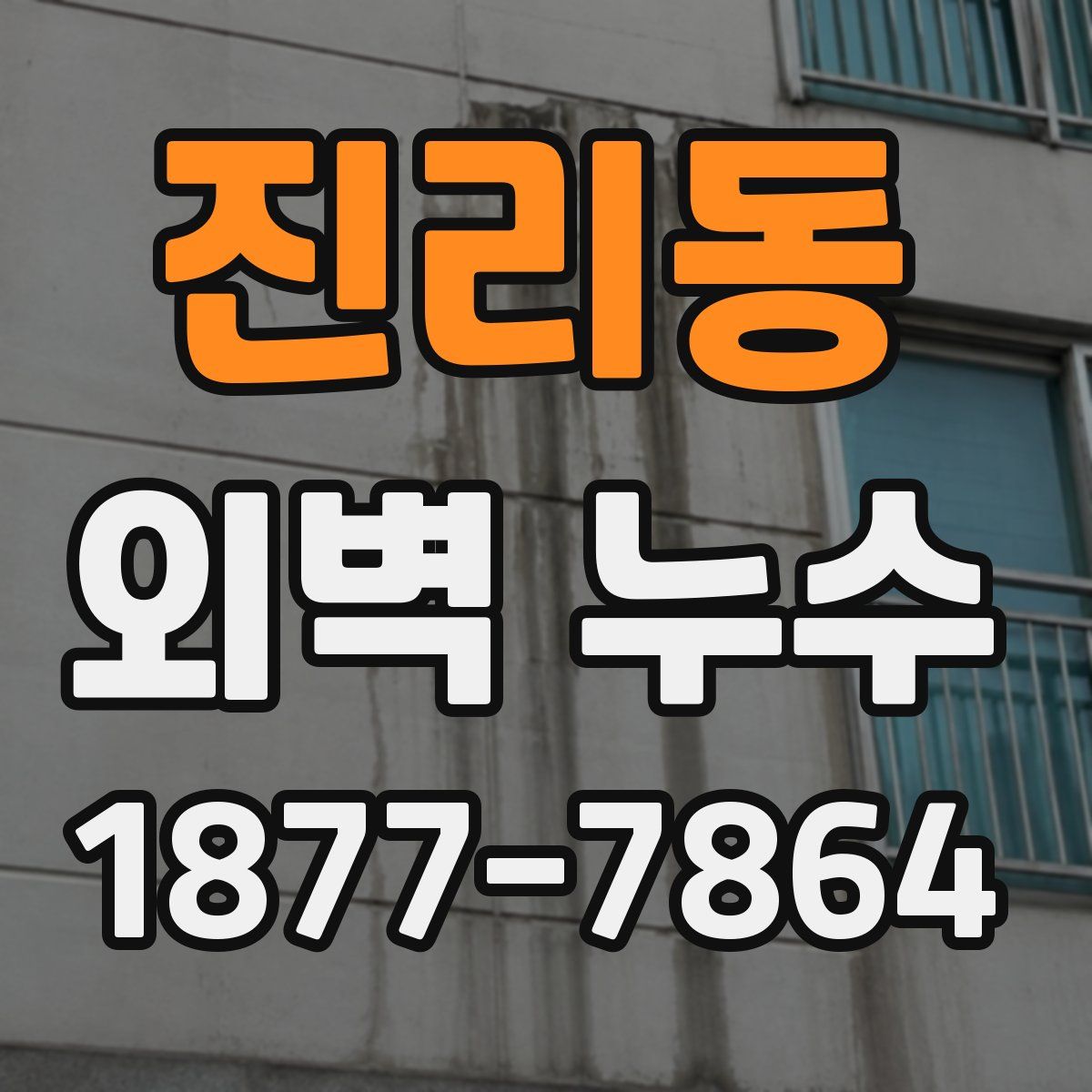 진리동 외벽 누수
