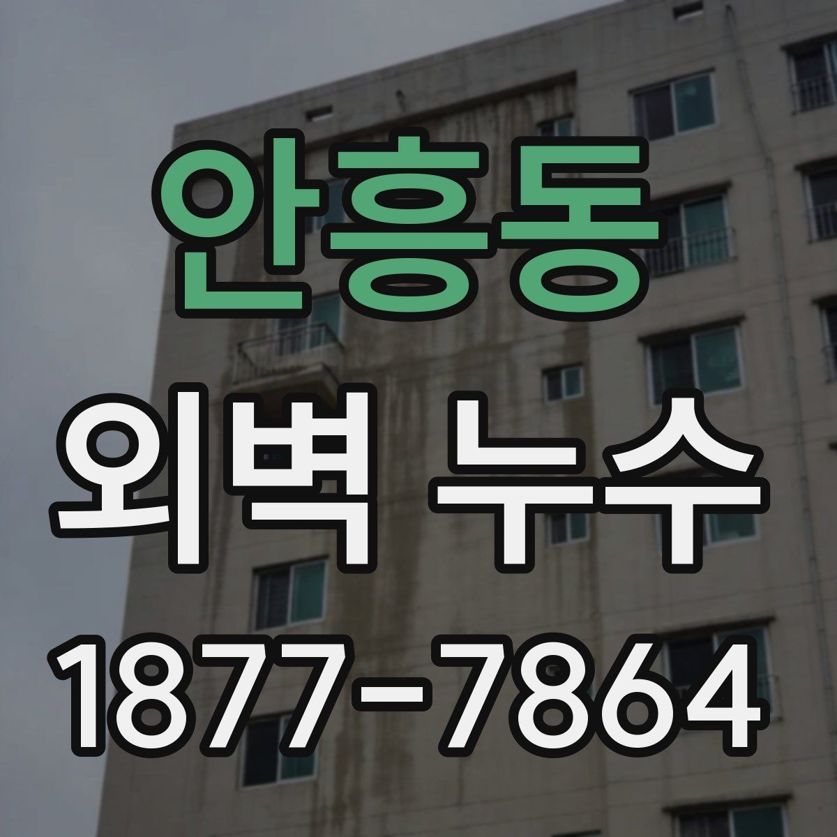 안흥동 외벽 누수 의심 벽면의 체크리스트