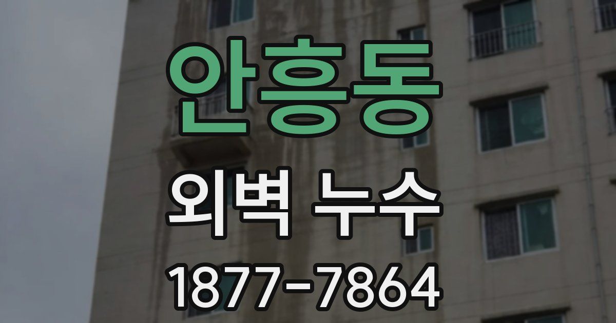 안흥동 외벽 누수