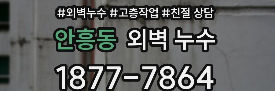 안흥동 외벽 누수