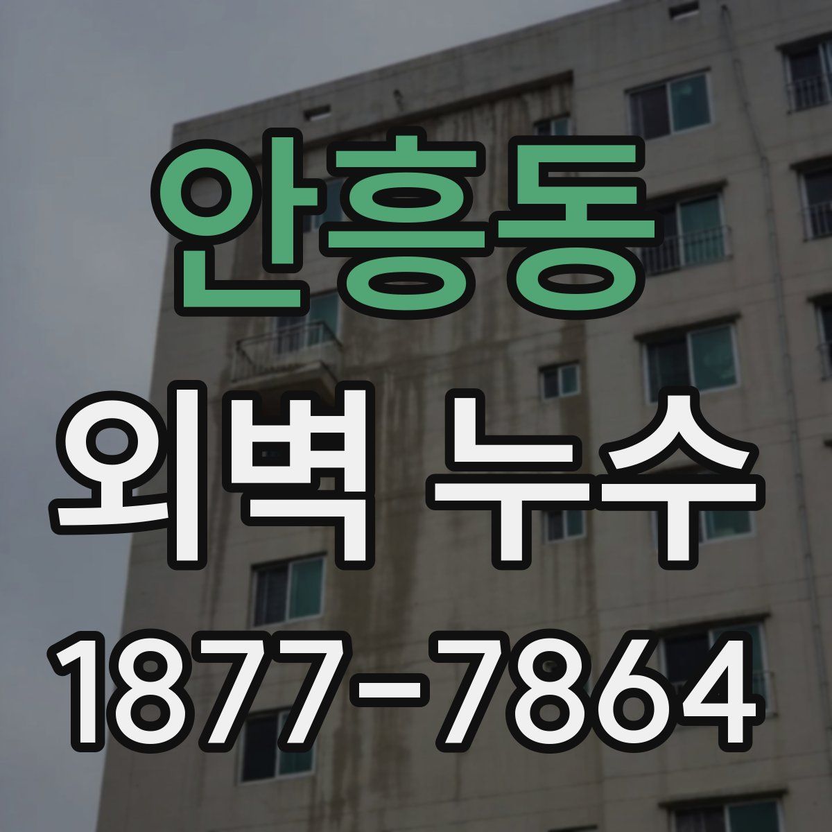 안흥동 외벽 누수