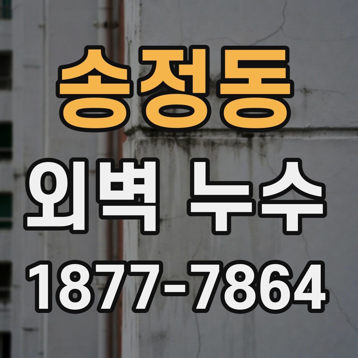 송정동 외벽 누수 증상 발생 위치에 따른 점검 요령