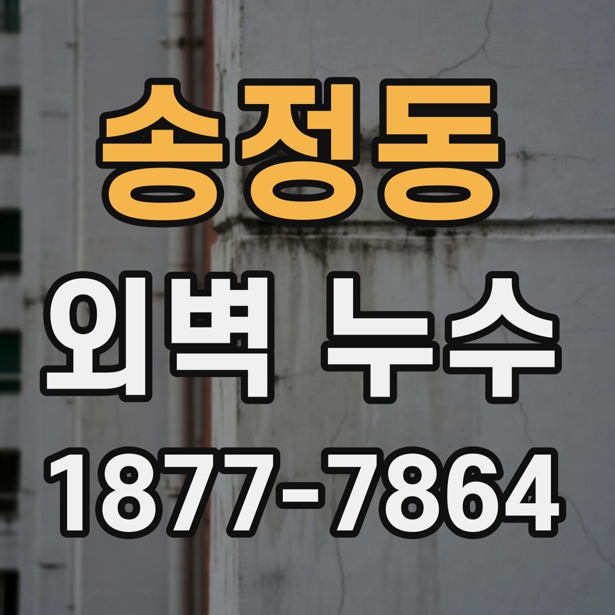 송정동 외벽 누수