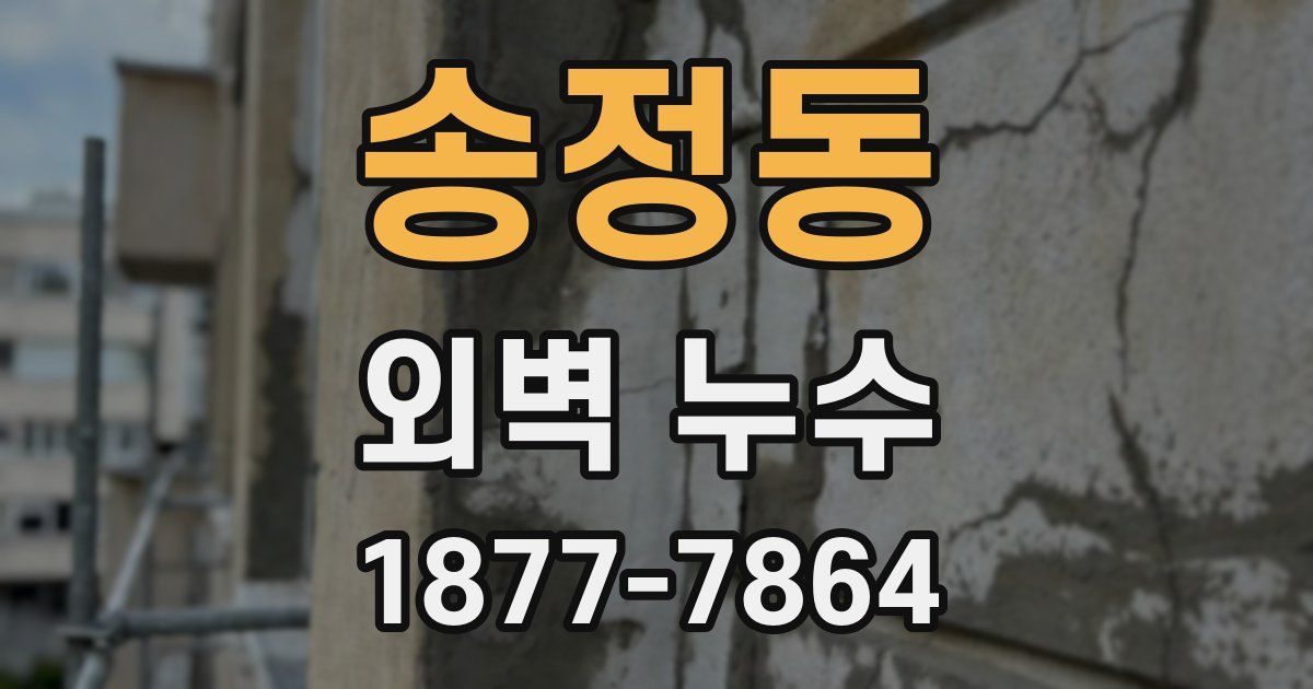 송정동 외벽 누수
