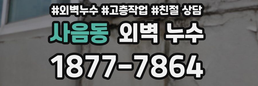 사음동 외벽 누수