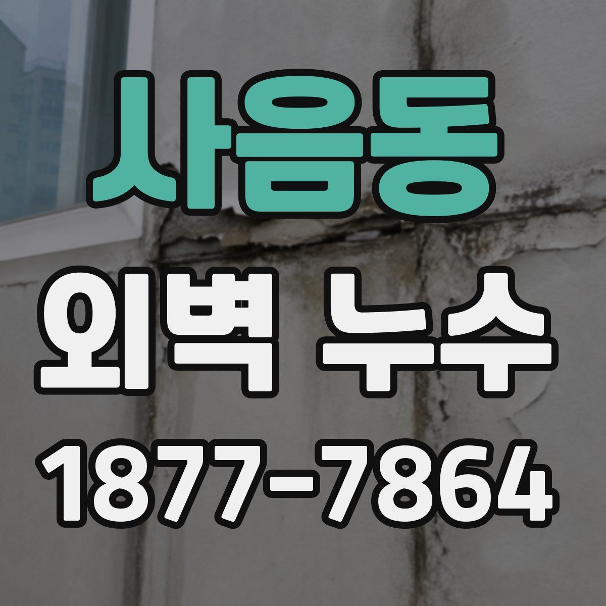 사음동 외벽 누수