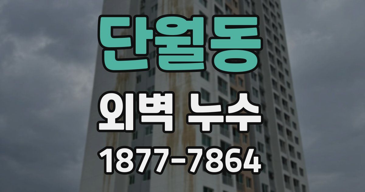 단월동 외벽 누수