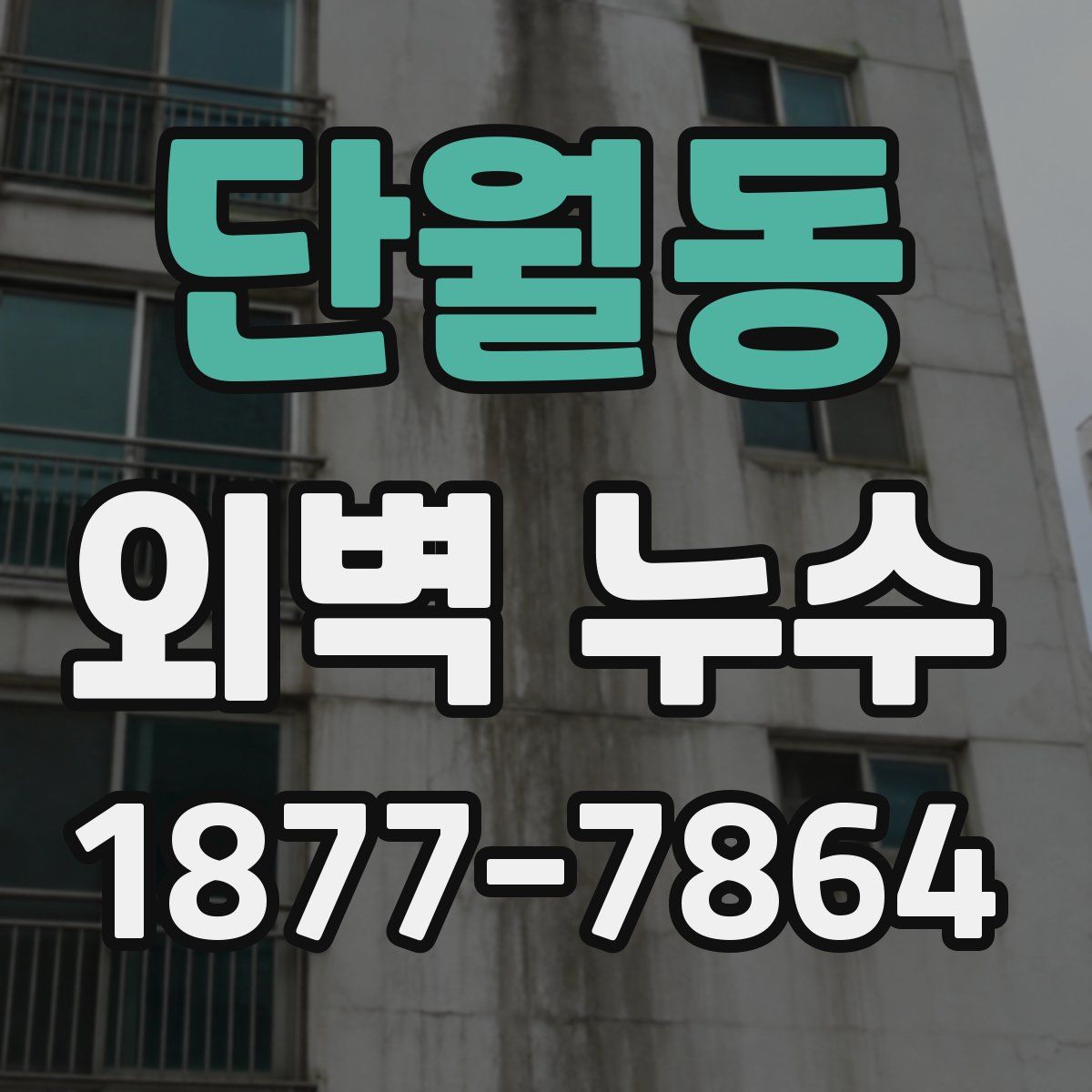 단월동 외벽 누수