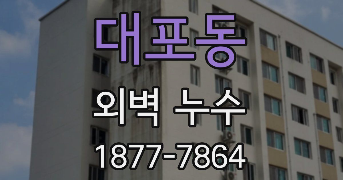 대포동 외벽 누수