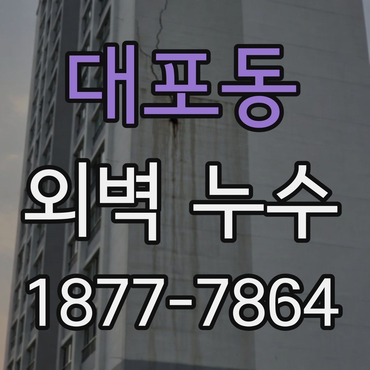 대포동 외벽 누수