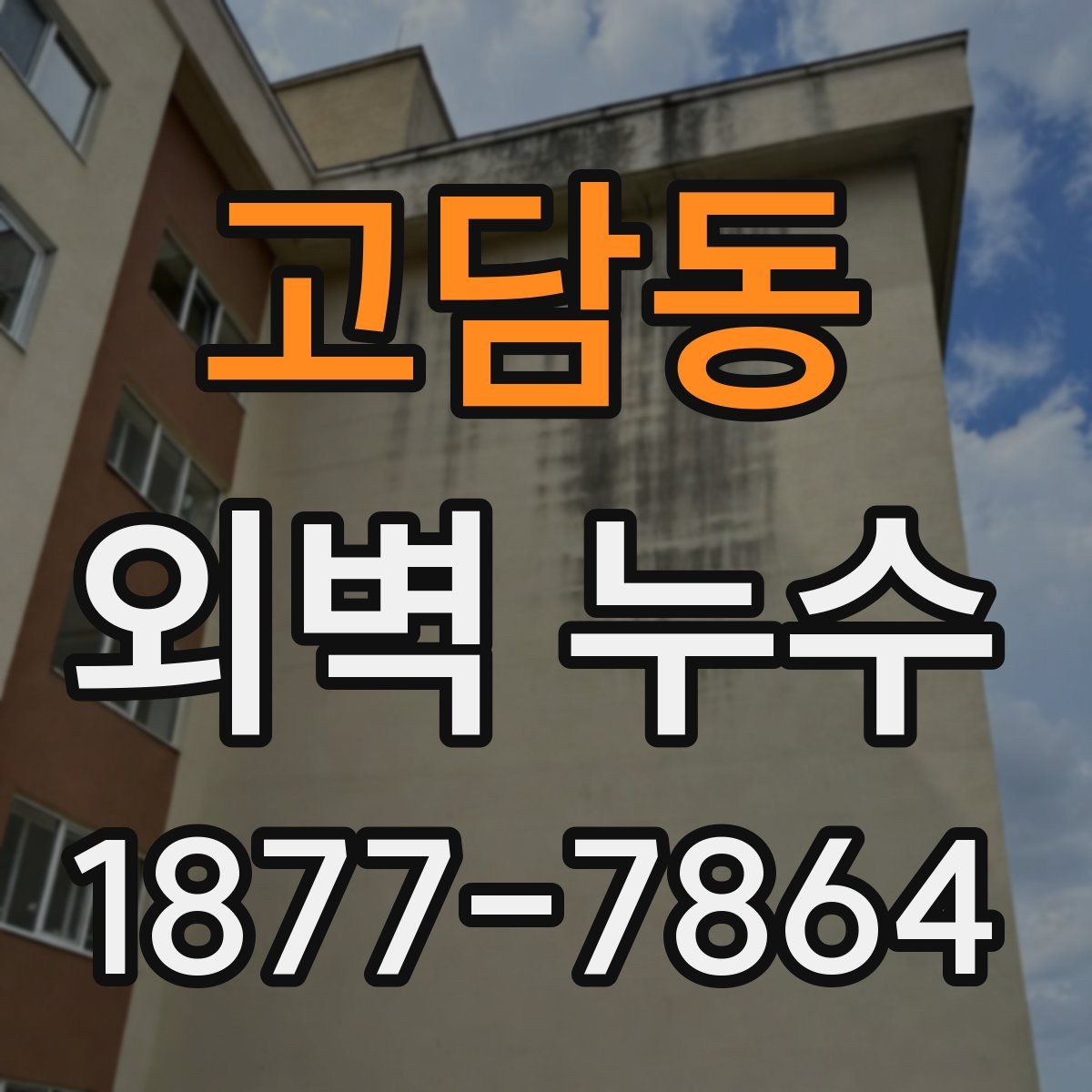 고담동 외벽 누수