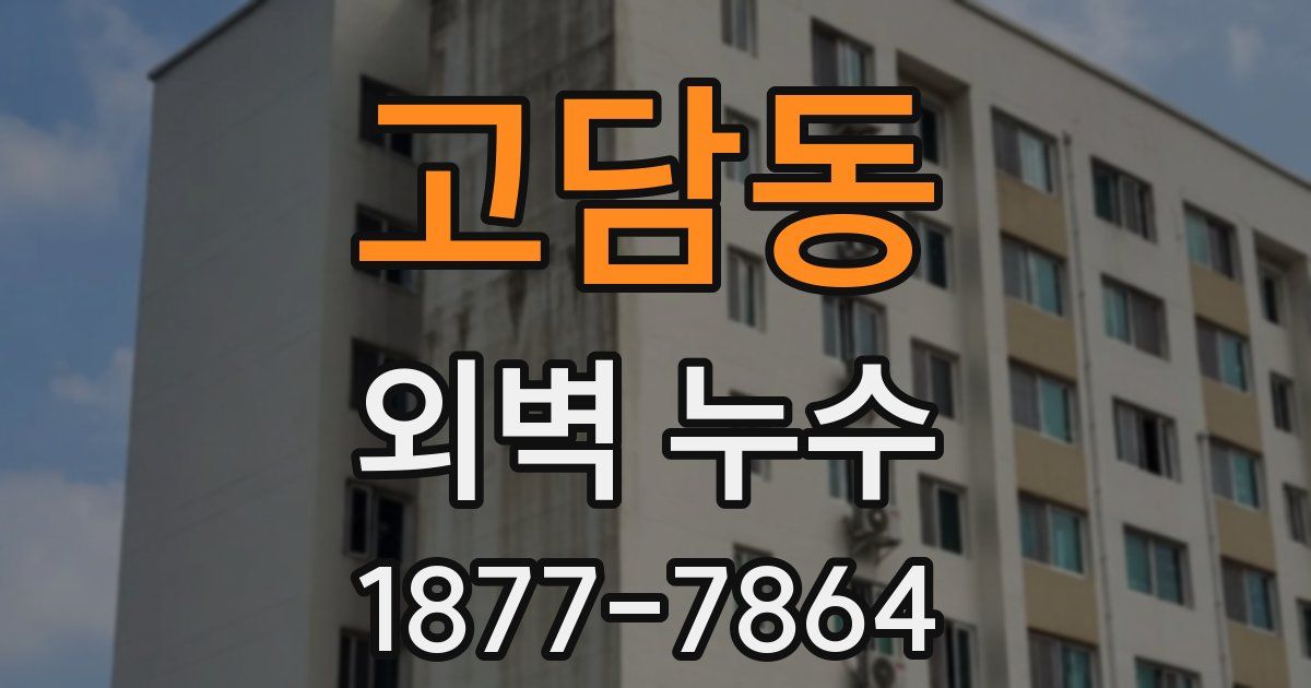 고담동 외벽 누수