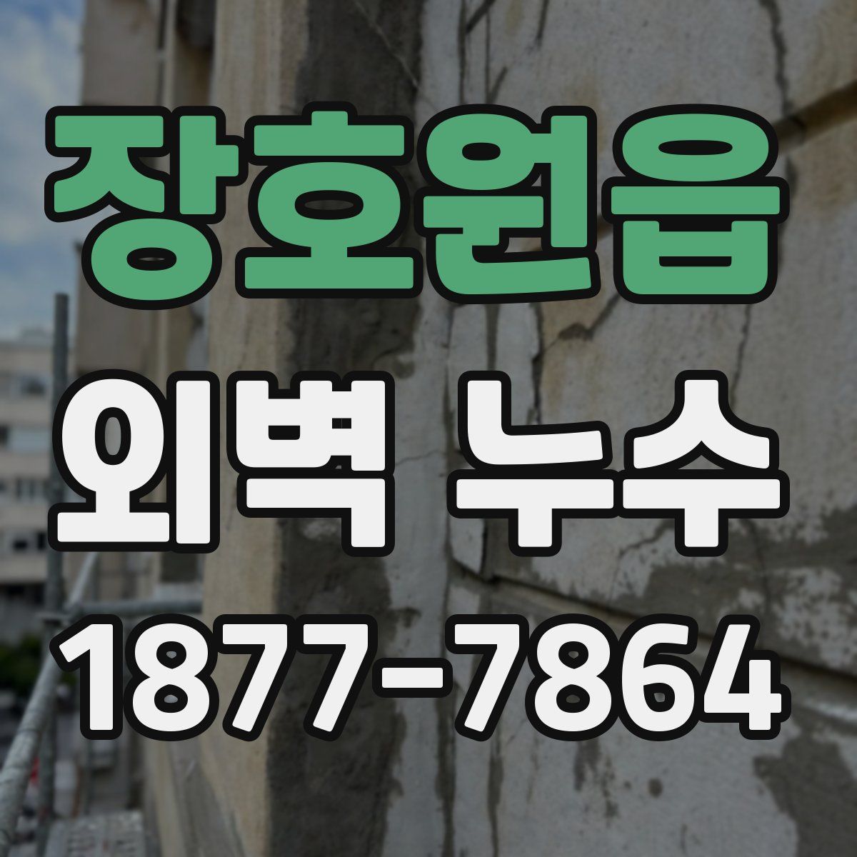 장호원읍 외벽 누수