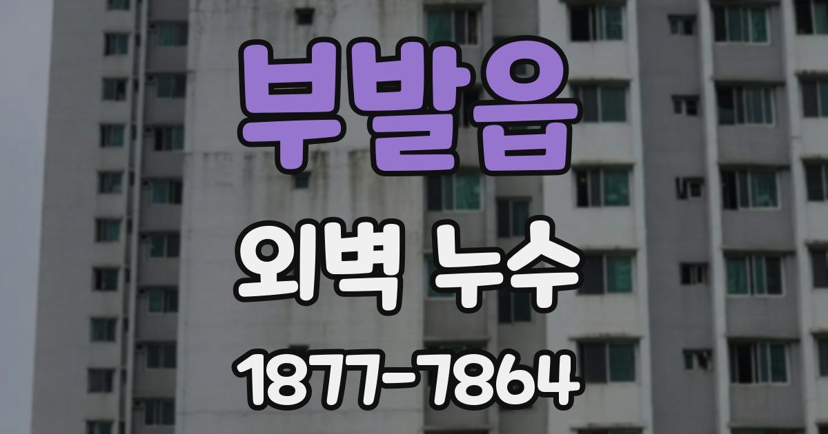 부발읍 외벽 누수