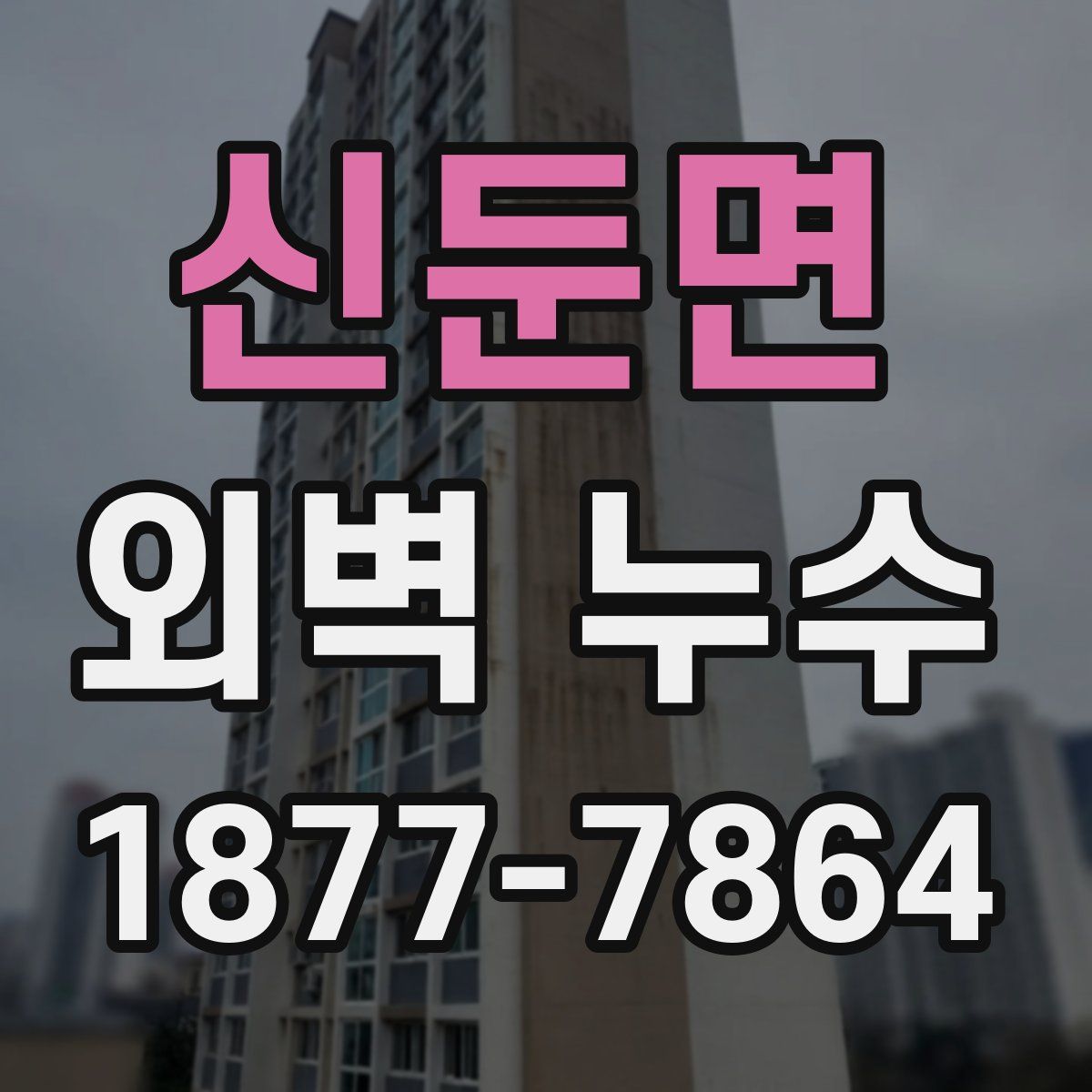 신둔면 외벽 누수