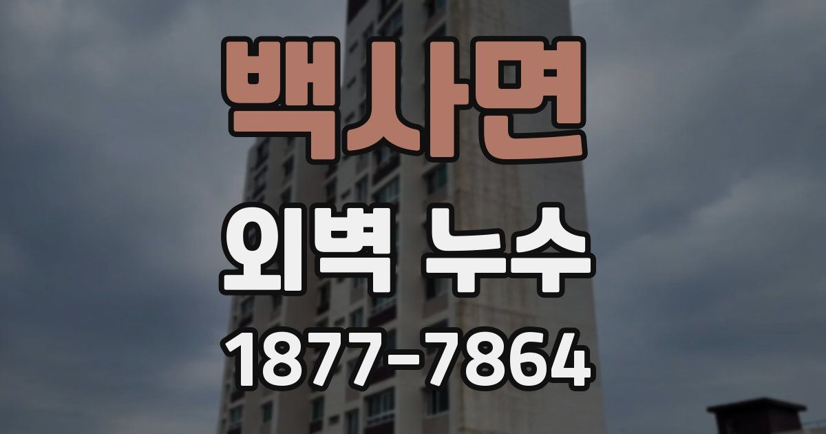백사면 외벽 누수