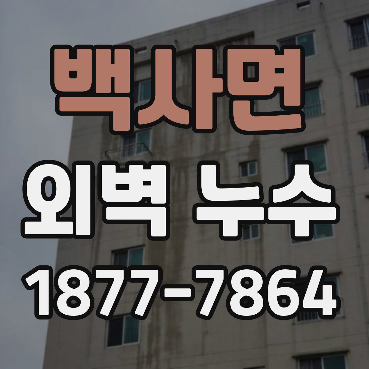 백사면 외벽 누수