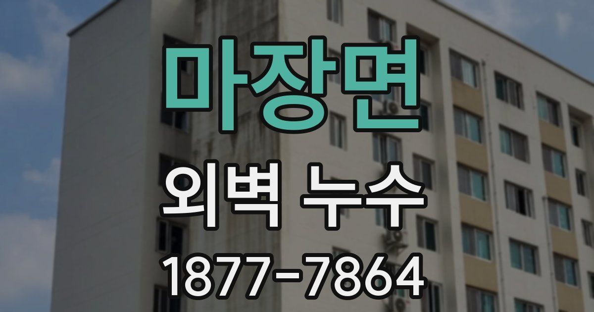 마장면 외벽 누수