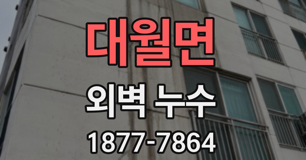 대월면 외벽 누수