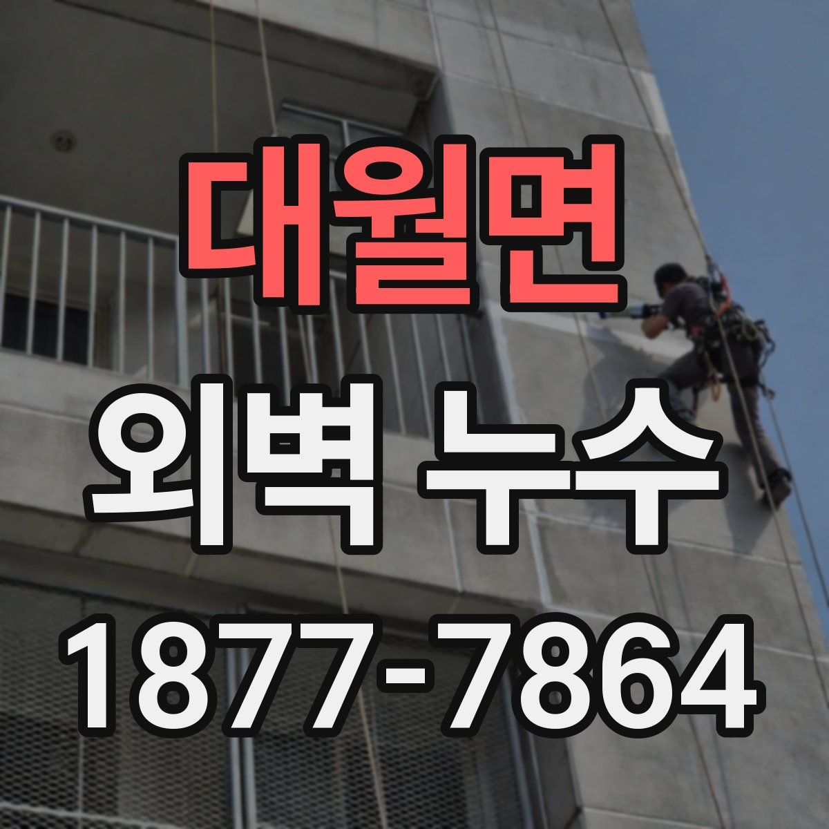 대월면 외벽 누수