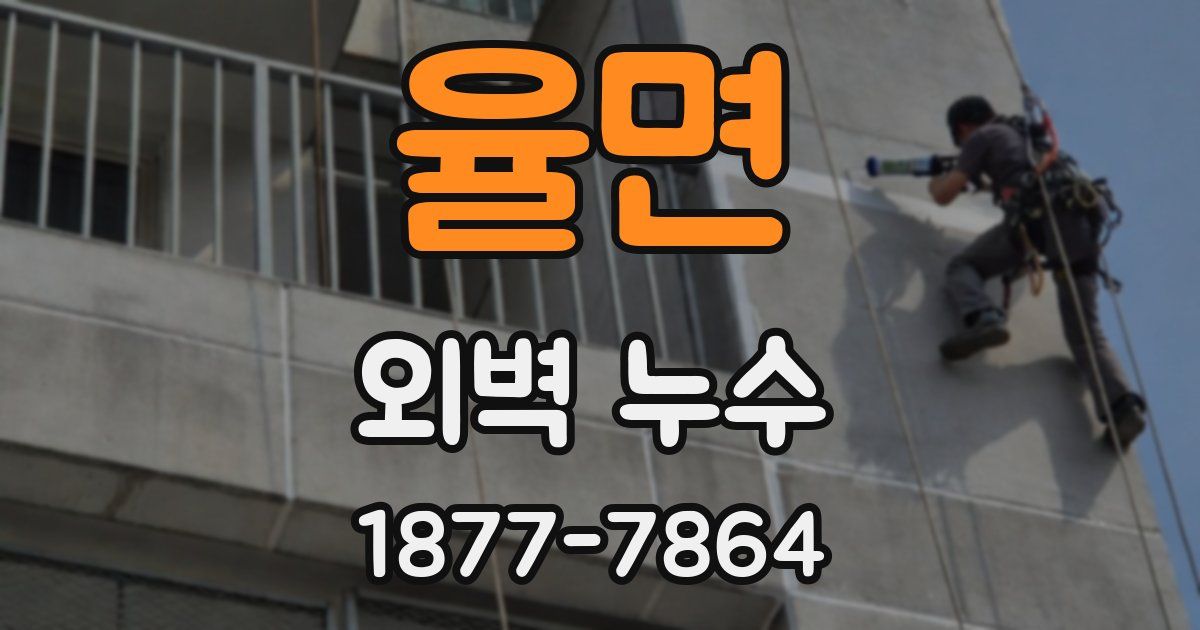 율면 외벽 누수