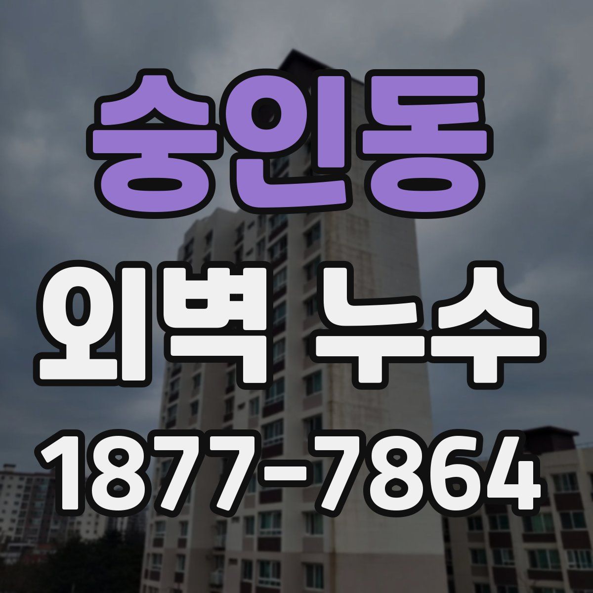 숭인동 외벽 누수