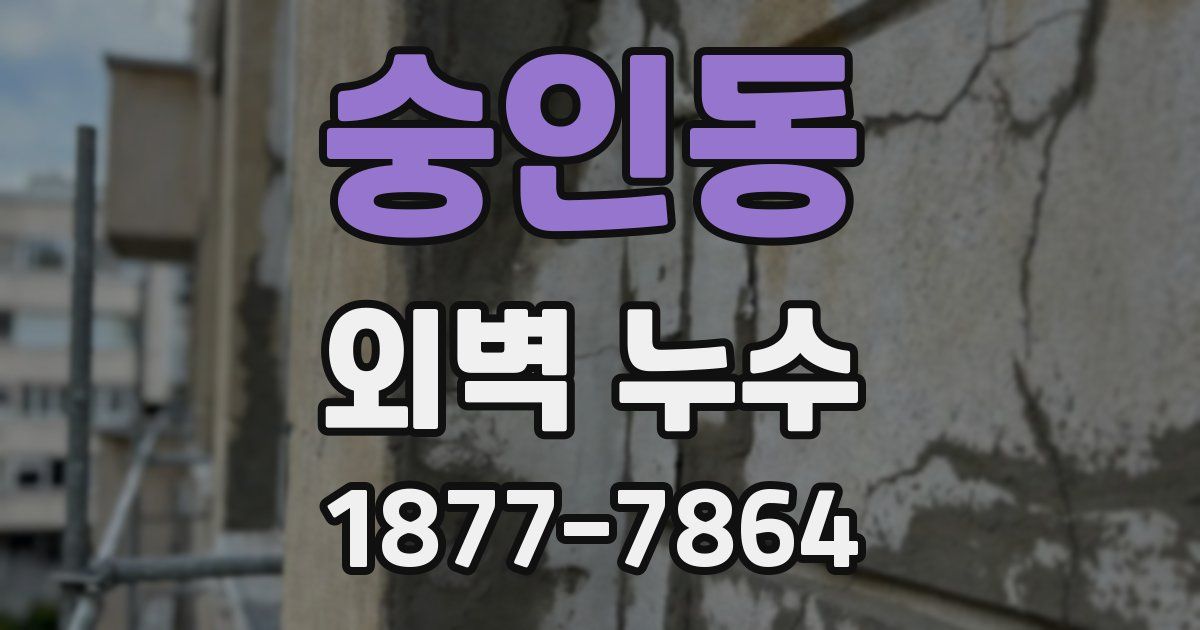숭인동 외벽 누수