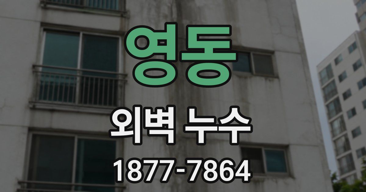영동 외벽 누수