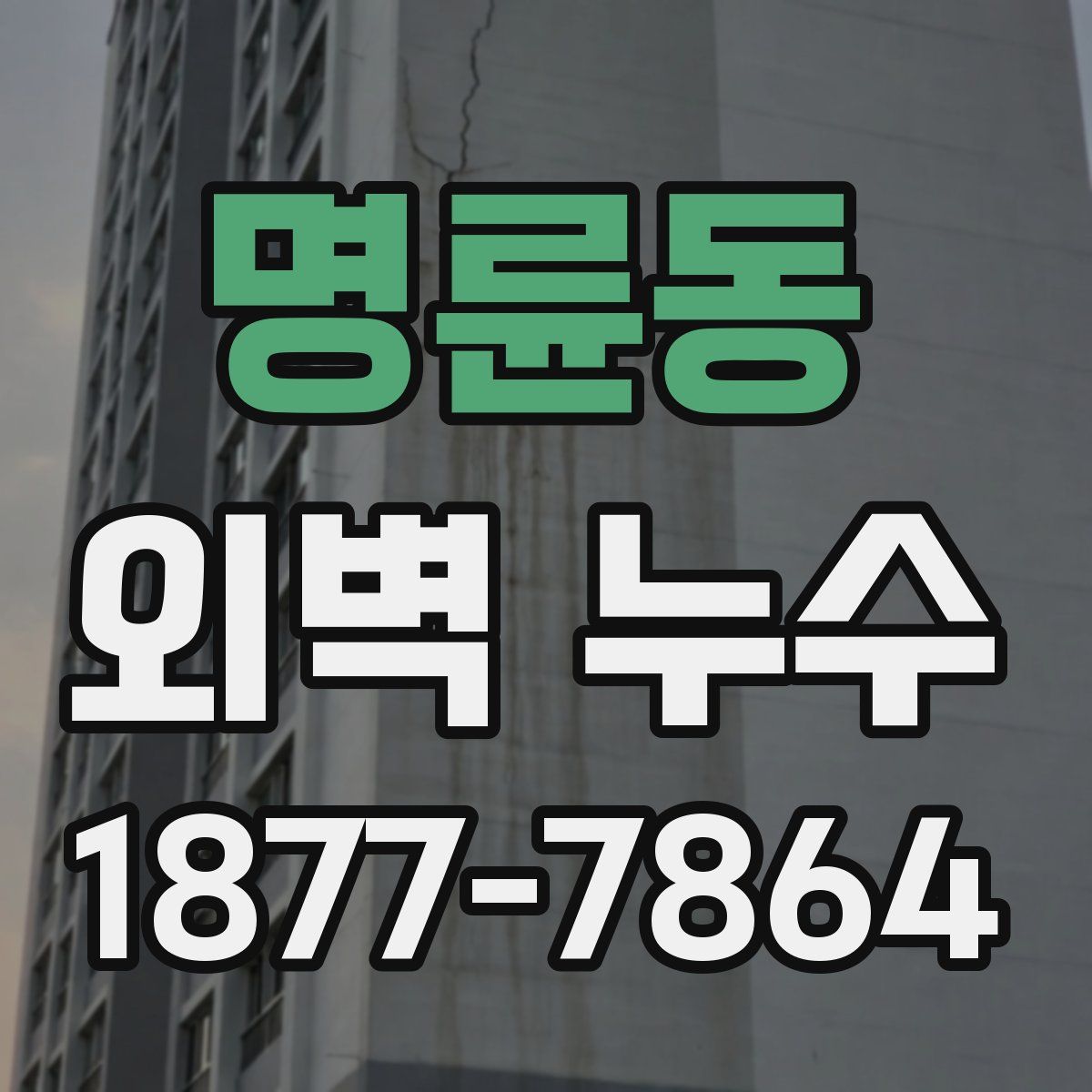 명륜동 외벽 누수