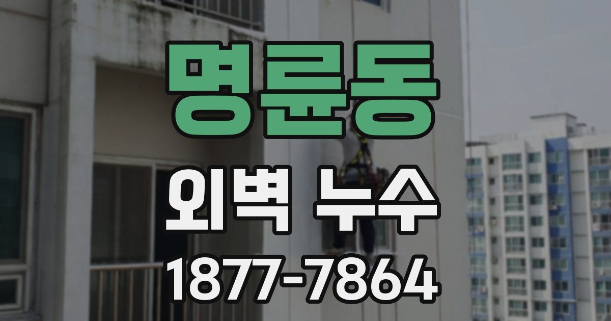 명륜동 외벽 누수