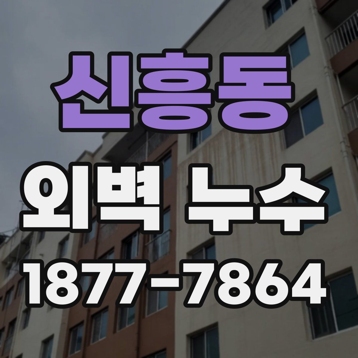신흥동 외벽 누수