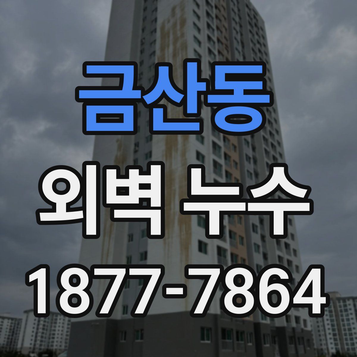 금산동 외벽 누수