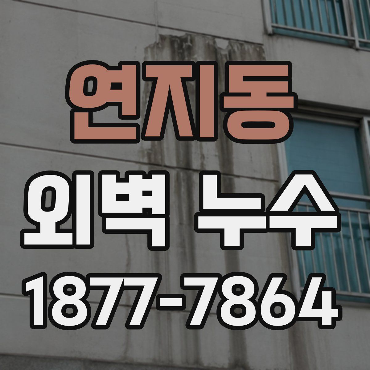 연지동 외벽 누수